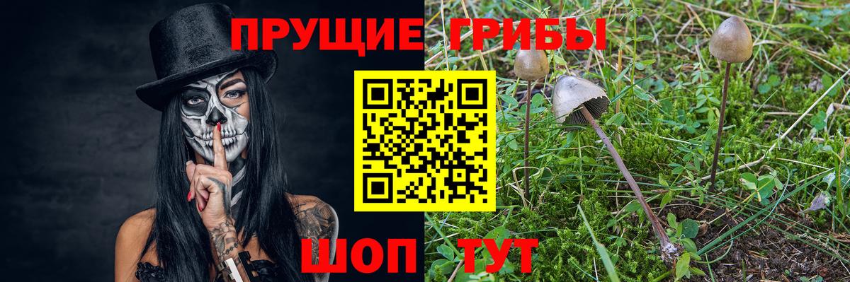 Янаул  Псилоцибиновые грибы мицелий  Вход с VPN  Галлюциногенные грибы MAGIC MUSHROOMS 